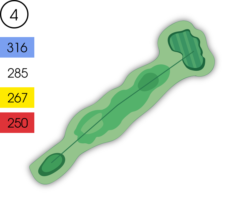 Hole 4 Map