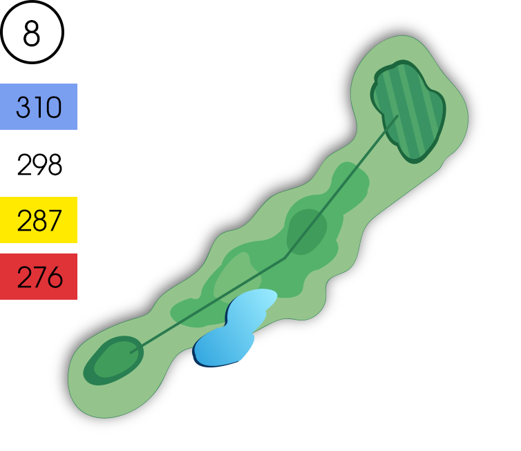 Hole 8 Map