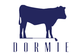 Dormie Golf